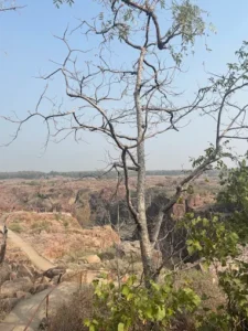 unnamed - 2025-09-21T163151.653